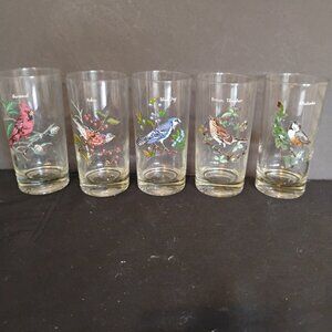 Vintage West Virginia Glass M Seargent signed Songbird Glasses, set of 5